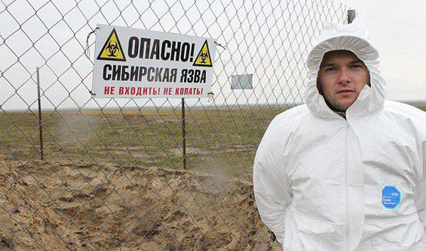 Вывоз трупов умерших животных в г. Серпухов Московской области