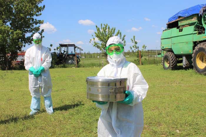 Вывоз трупа животного в морг в г. Серпухов Московской области