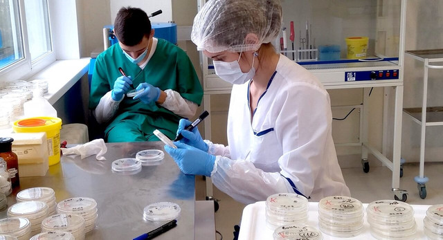 Умерло животное установить причину смерти для суда в г. Серпухов Московской области